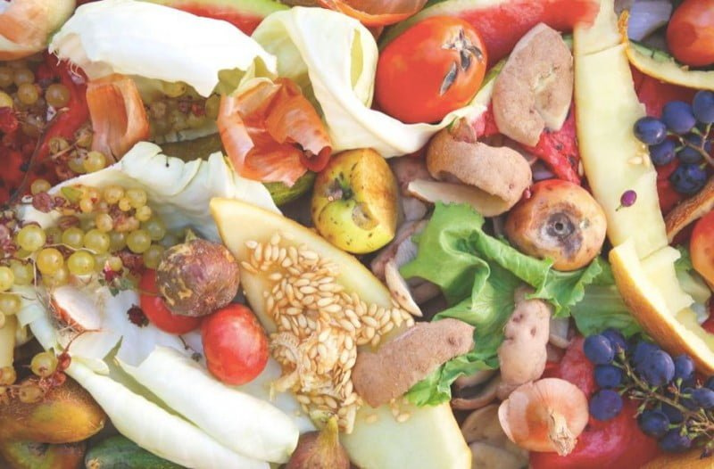 NAGUALEP-家用三合一廚餘機_香港_植物肥料3