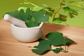 Benefits of Ginkgo Biloba for Memory & More | Be Brain Fit
