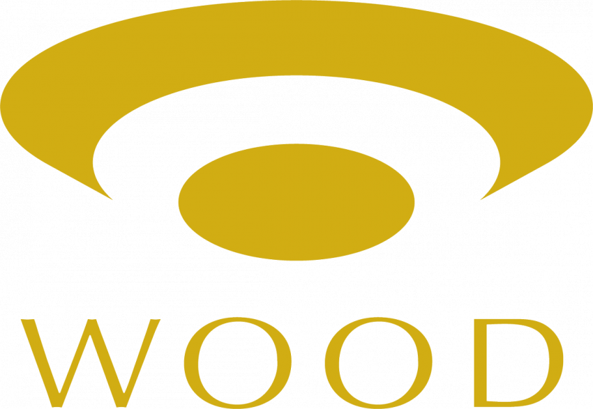 WOODシリーズ初の完全ワイヤレスイヤホン