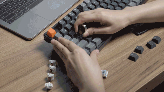 Keychron K8 tenkeyless 無線機械鍵盤適用於 Mac Windows iOS，搭配熱插拔 Gateron 和 Keychron 光學開關紅色藍色棕色