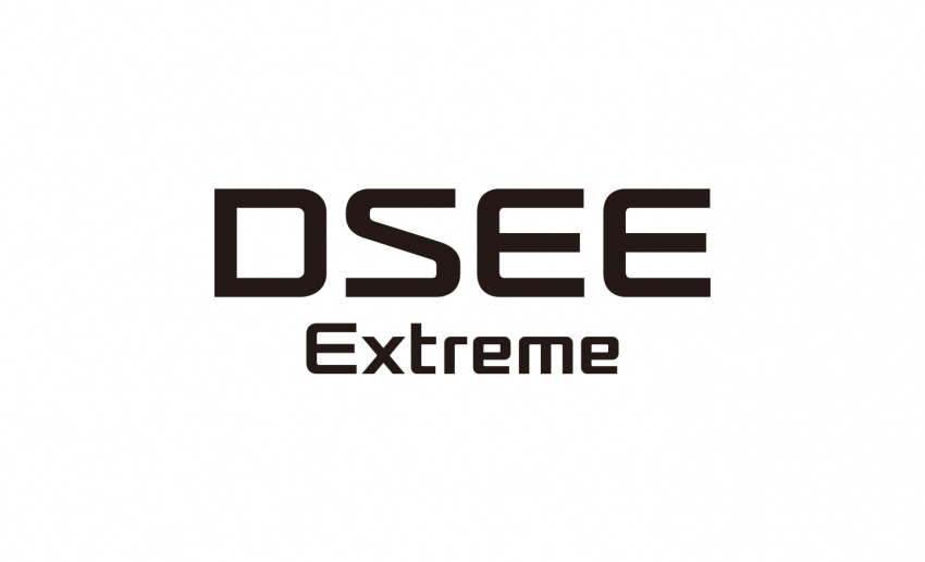 DSEE Extreme 標誌