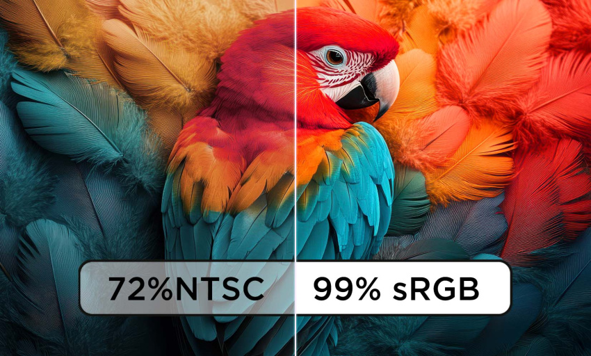 重現鮮豔視覺效果