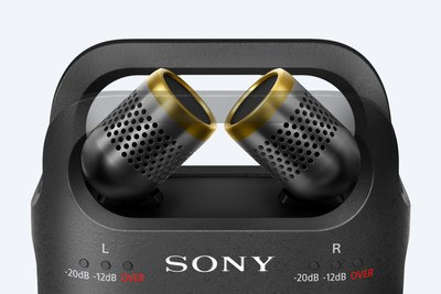 將 PCM-D10 可調節式麥克風擺放在相應位置,為音樂表演進行錄音