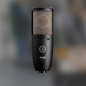 AKG P220 High=Performance Large Diaphragm Condenser Microphone