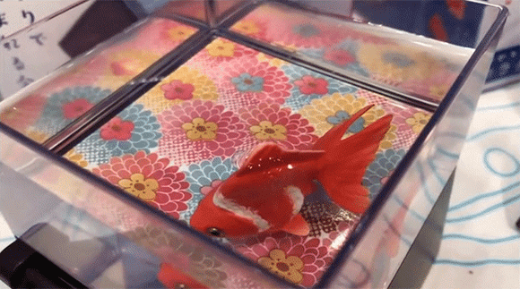 Takara Tomy 太陽能 光能可動觀賞金魚 D R Trade Takara Tomy 太陽能 光能可動觀賞金魚 D R Trade