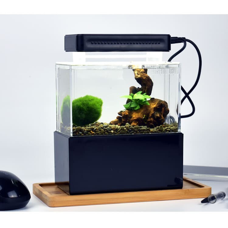 辦公室微型迷你桌面過濾生態小魚缸