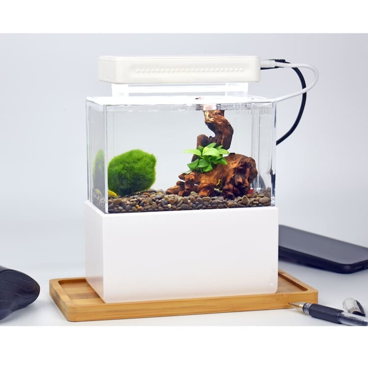 辦公室微型迷你桌面過濾生態小魚缸